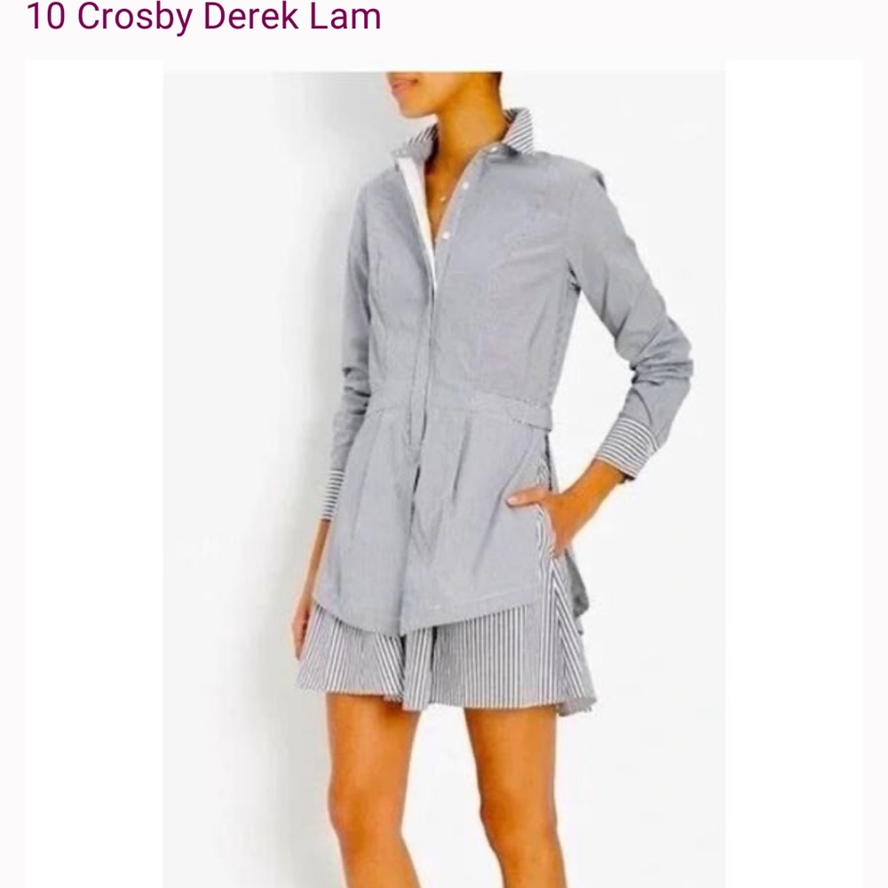 10 Crosby Derek Lam long‎ sleeve Striped poplin shirtdress fit and flare